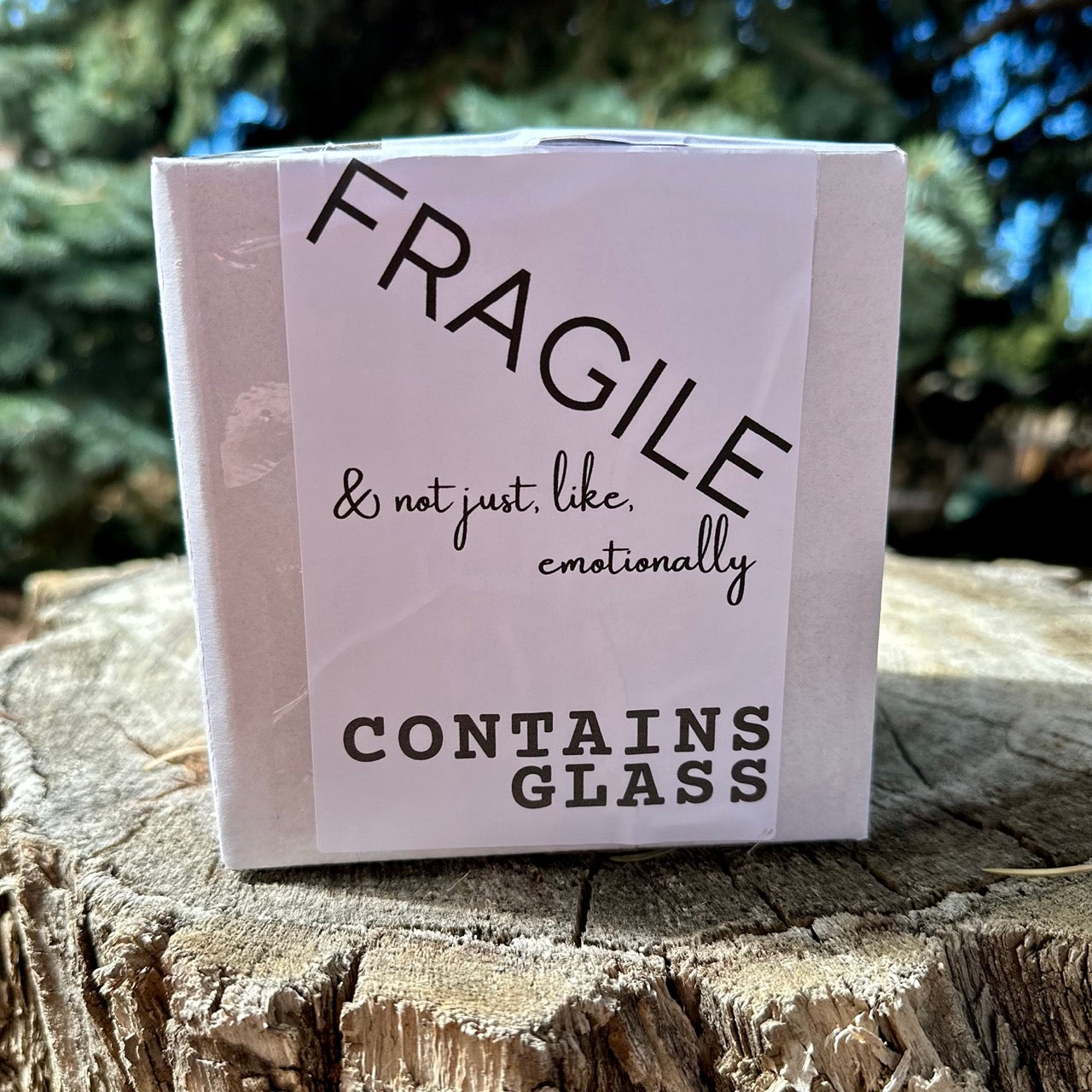 CIDER Dazed: Medicinal & Chill, Spiced Apple Fall Vibes candle